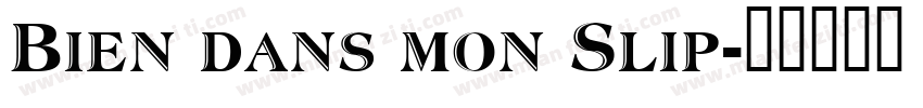 Bien dans mon Slip字体转换